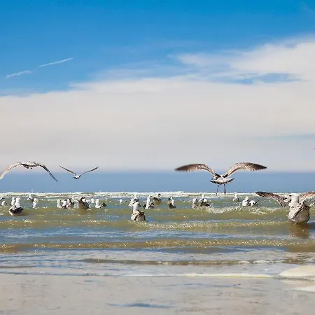 Ibis Budget Oostende Airport Middelkerke